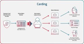 what-is-carding.jpg