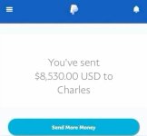 paypal money transfer
